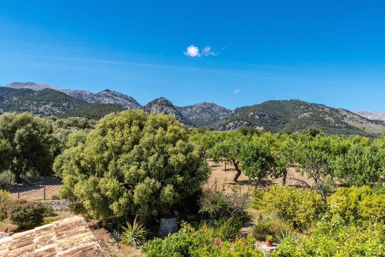 Finca Son Arnau Сельва Экстерьер фото